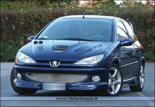 Peugeot_206_6.jpg