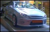 peugeot_206cc_a.jpg