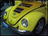 DSC04313.JPG