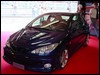 peugeot.206.6.jpg