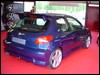 peugeot.206.61.jpg
