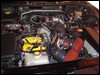 DSC00751.JPG