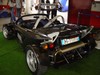 Lotus_3.JPG