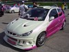 Peugeot_206_gti_1.JPG