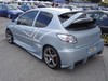Peugeot_206_tuning_2.JPG