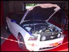 Ford_mustang_500_gt_1.JPG