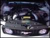 Ford_mustang_500_gt_2.JPG