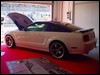 Ford_mustang_500_gt_3.JPG