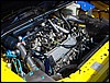 DSC01114.JPG