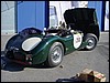 Jaguar.C.5.jpg