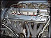Jaguar.D.5.jpg