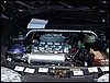 DSC00804.JPG