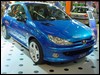 peugeot.206.gti.rc.11.jpg
