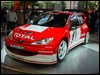 wrc.peugeot.206.11.jpg