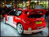 wrc.peugeot.206.13.jpg