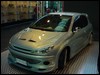 peugeot_206_31.jpg