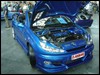 peugeot_206_cc_41.jpg