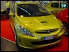 peugeot_306_51.jpg