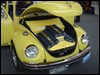 DSC00223.JPG