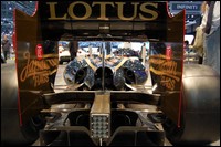 lotus