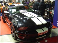 shelby