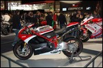 ducati