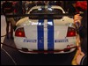 DSC01125.JPG