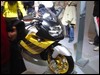 DSC01277.JPG