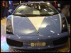 DSC01395.JPG