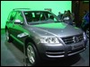 DSC01516.JPG