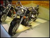 DSC01530.JPG