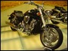 DSC01531.JPG