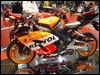 DSC01535.JPG