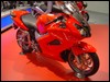 DSC01540.JPG