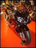 DSC01551.JPG