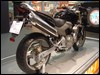 DSC01557.JPG
