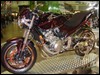 DSC01562.JPG
