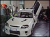DSC03822.JPG