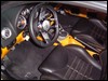 DSC03843.JPG
