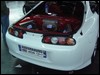 DSC04245.JPG