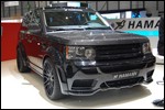 hamann