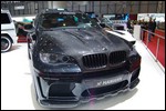 hamann