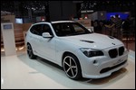 schnitzer